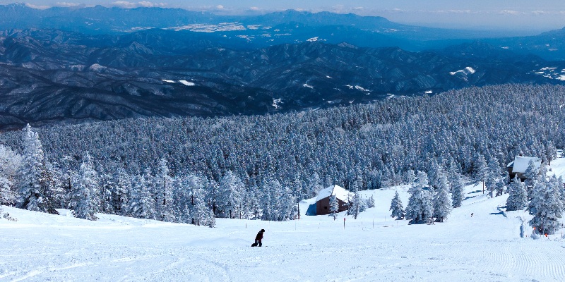 Shibutoge-(Shiga-Kogen)-in-Nagano