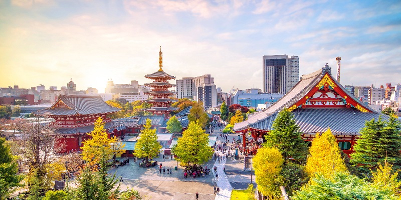 Sensoji Temple from top view