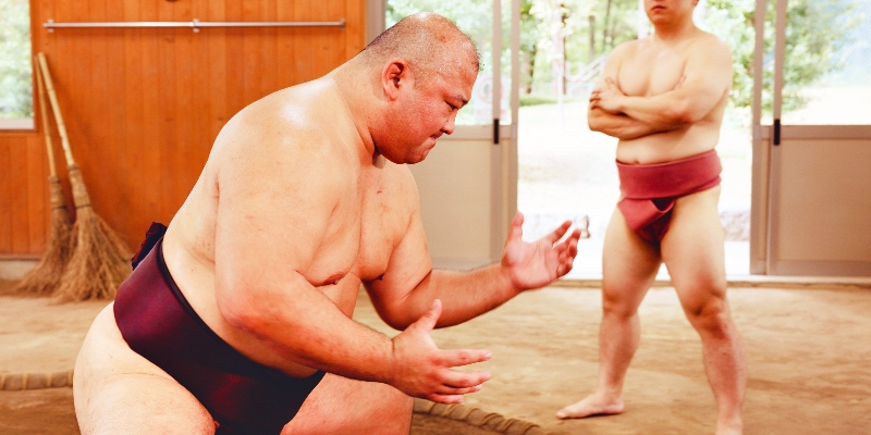 Sumo-wrestling (2)