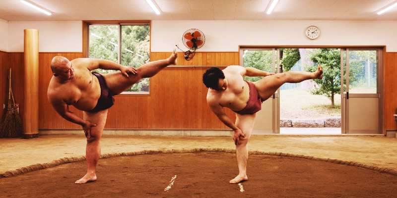 Sumo-wrestling (1)