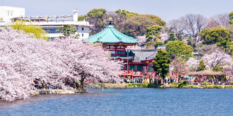 Ueno Park in Tokyo