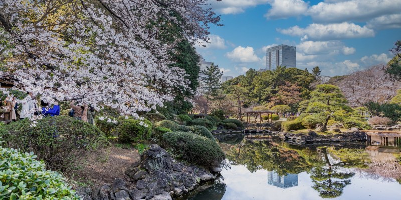 Shinjuku Gyoen Park