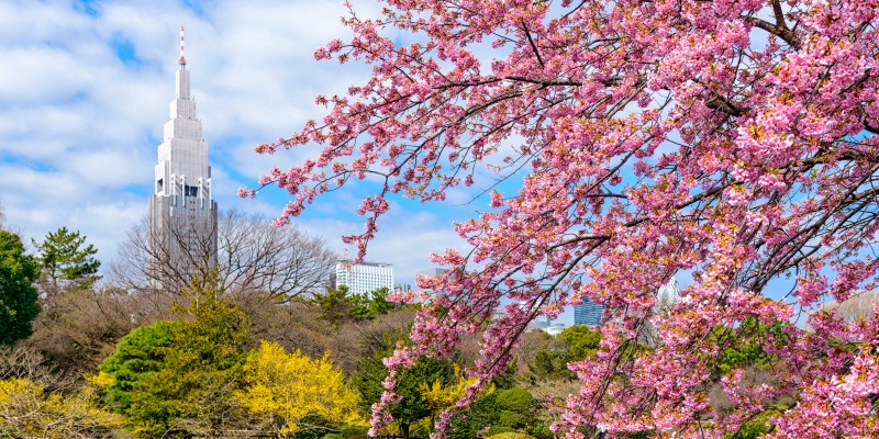 Shinjuku Gyoen Park