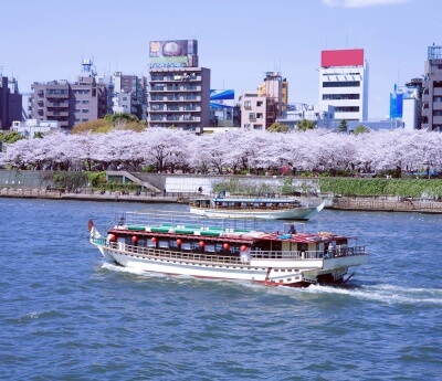Sumida River Cruise