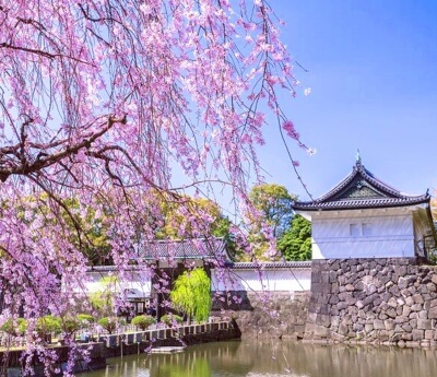 Imperial Palace East Gardens