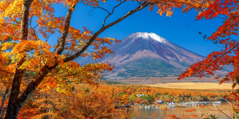 Chureito pagoda and Fuji mountain in autumn