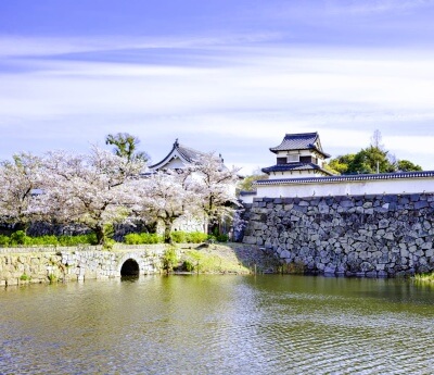 Fukuoka Castle Ruins