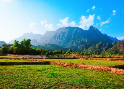 lush greenery in Luang Prabang
