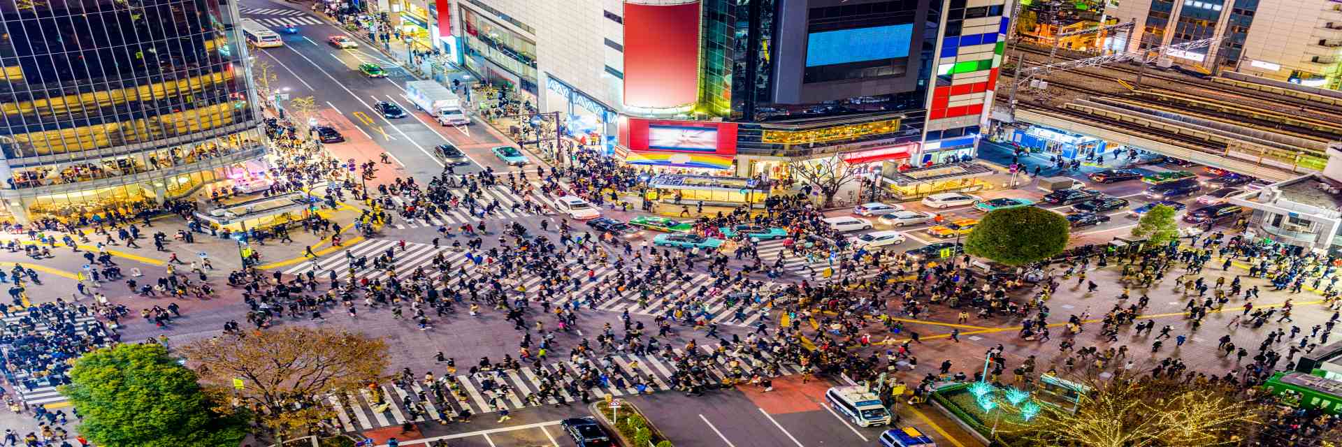 Shibuya Crossing_2