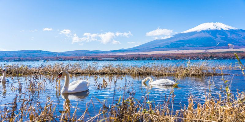 Lake Yamanakako