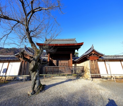 Tenryu-ji Temple