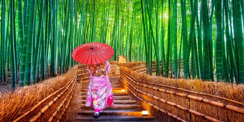 Bamboo groves in Arashiyama