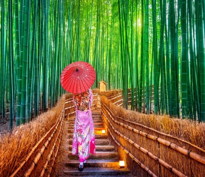 Bamboo groves in Arashiyama