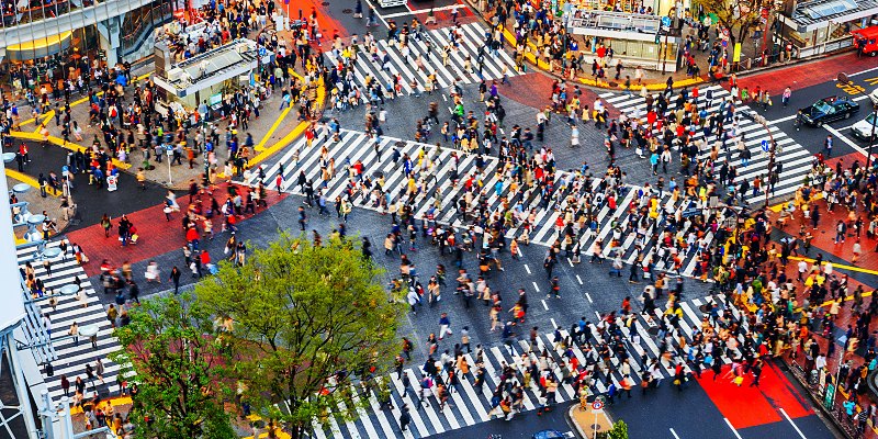Shibuya,crosswalk and cityscape