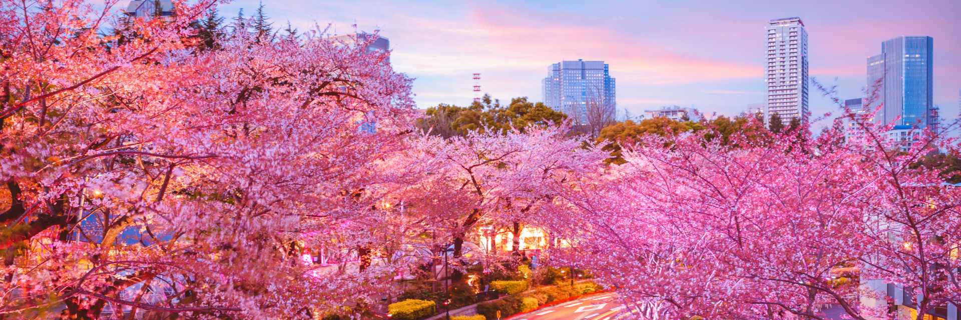night view of tokyo midtown in roppongi,  japan