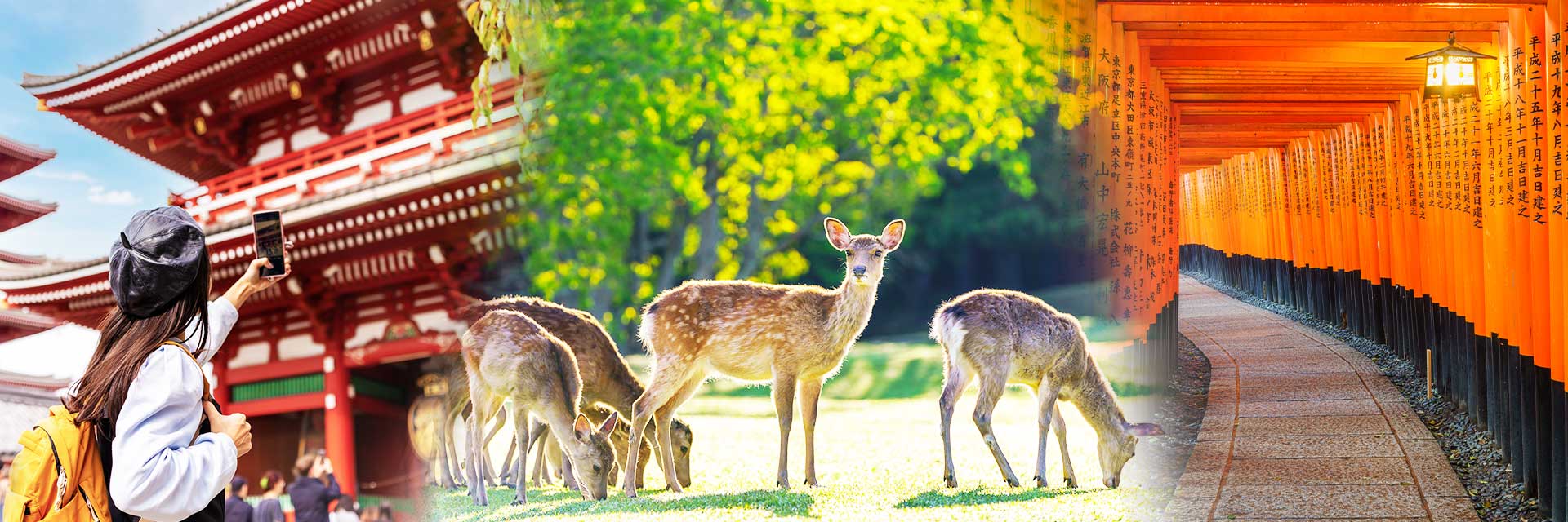 sensoji, nara & red torii gate