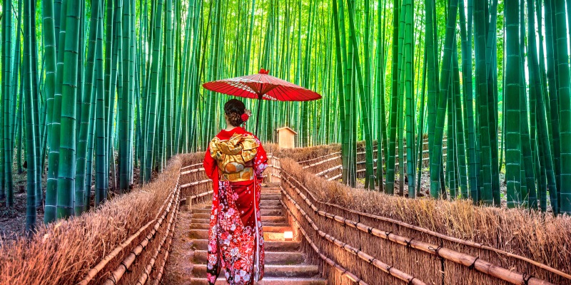 Asian woman wearing japanese traditional kimono at Bamboo Forest in Kyoto