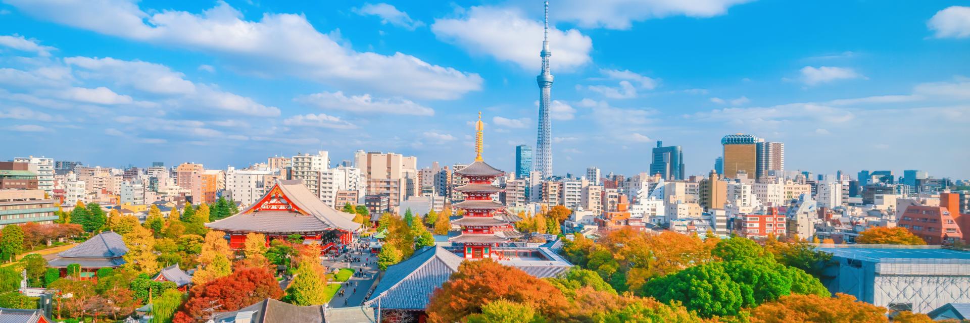 Temple and Tokyo city skyline