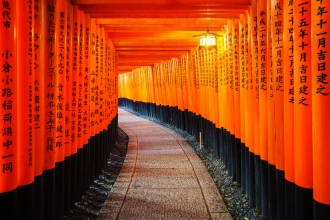 Torii gates in Fushimi Inari Shrine