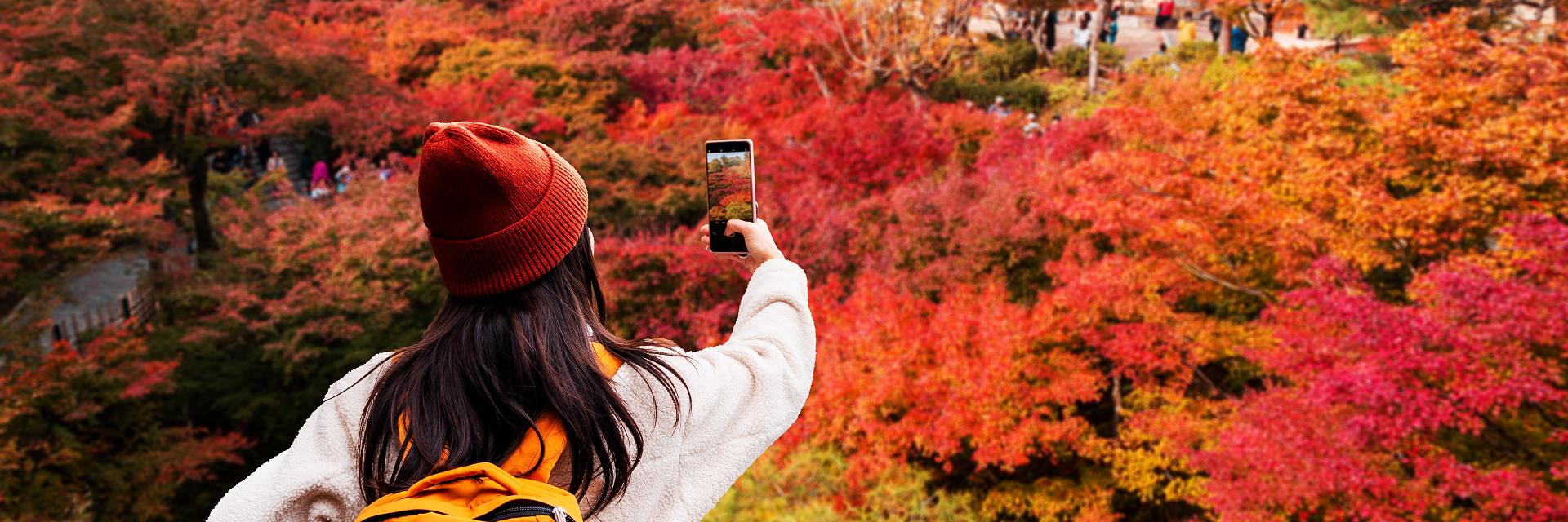 autumn leaves at Tofuku-ji Temple