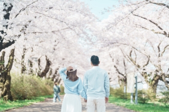 Couple tourist sightseeing cherry blossoms