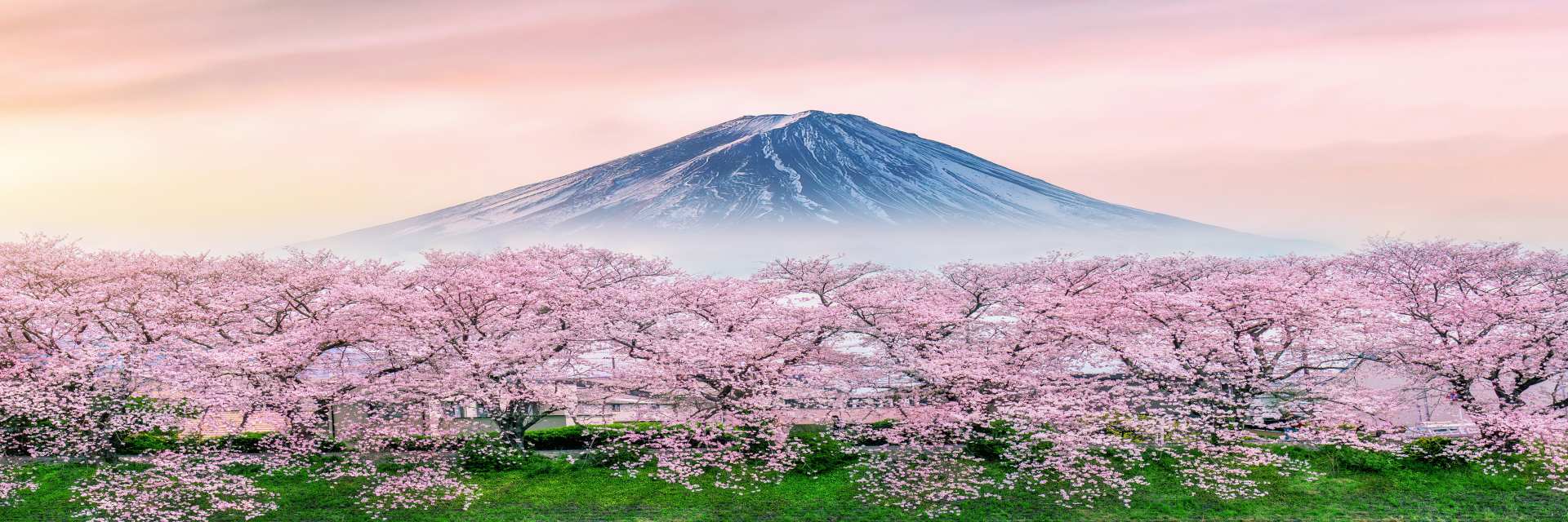 Mt Fuji
