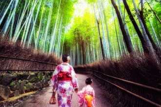 Arashiyama Bamboo Forest Grove