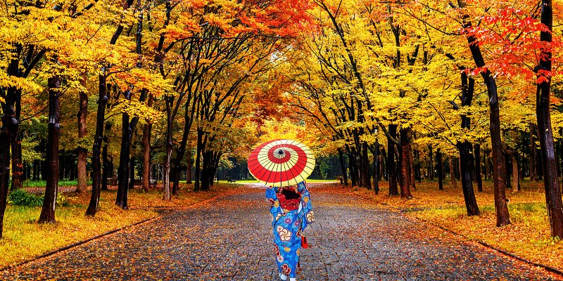 autumn in Japan