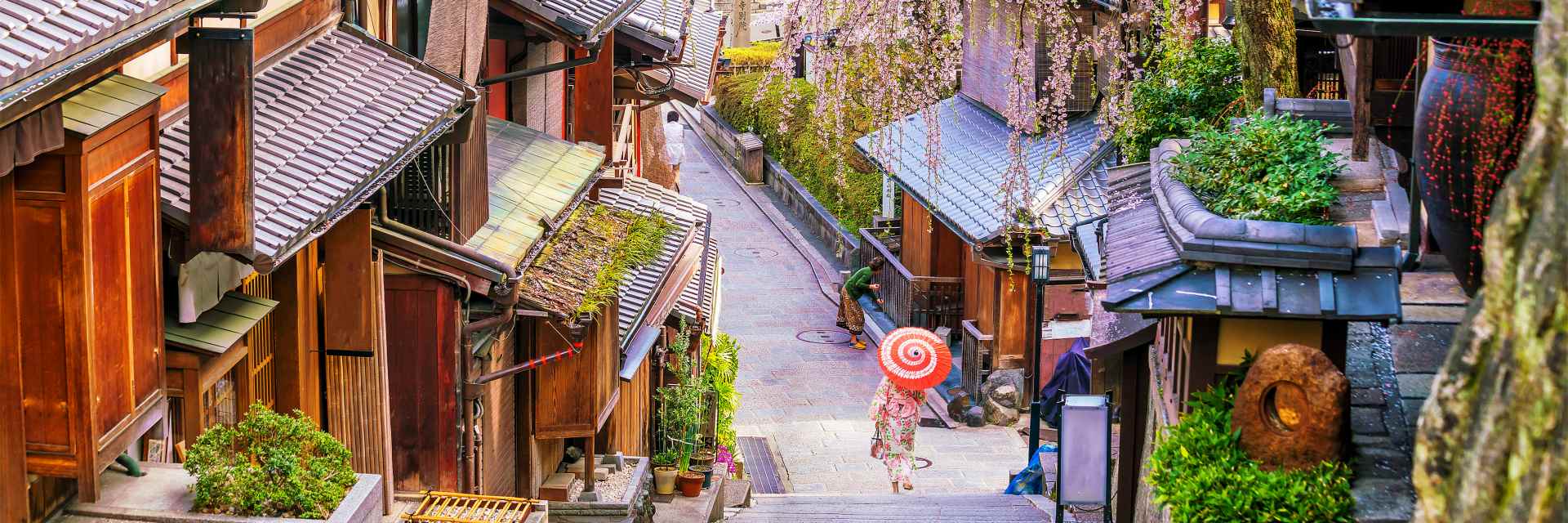 Old town Kyoto, the Higashiyama District during sakura season