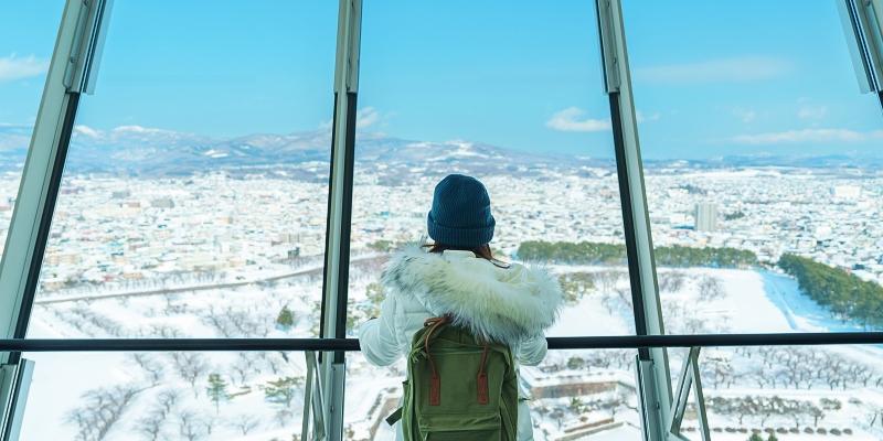 view from Goryokaku Tower, hakodate