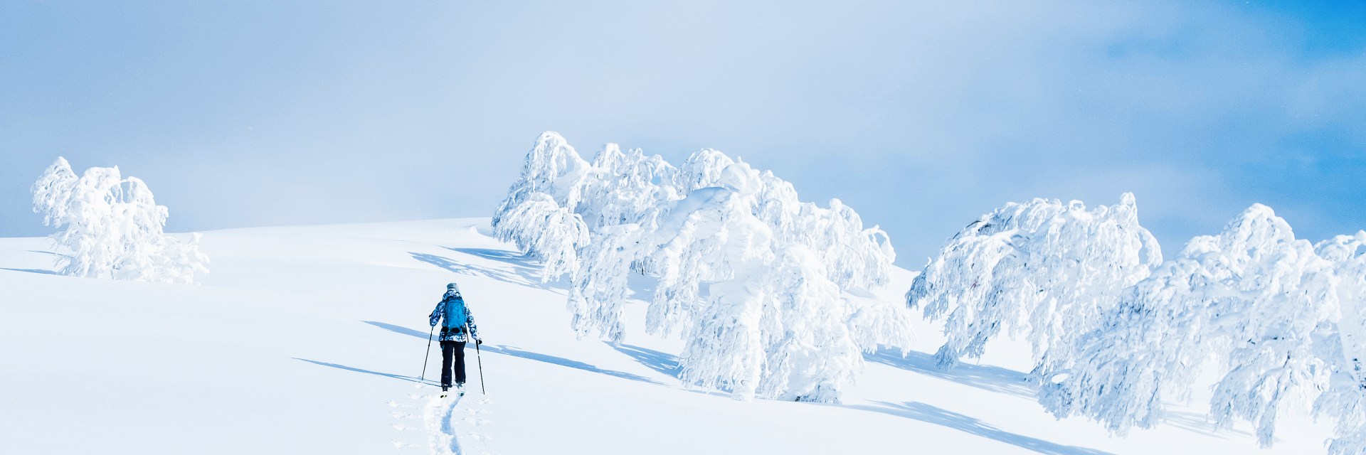 female tourist trekking on her skis up the untouched snowy hill in Niseko