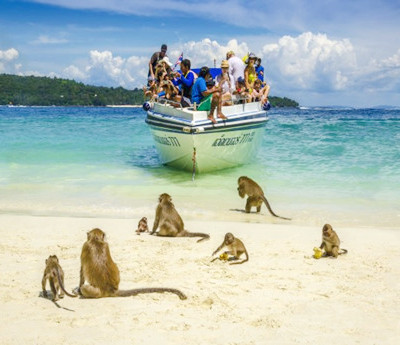 Monkey Beach