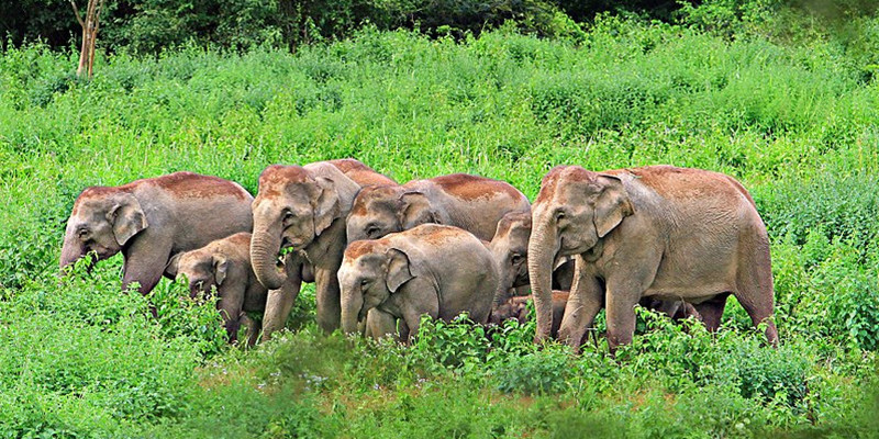 Kuibri National Park
