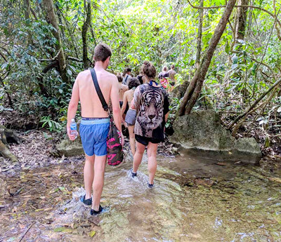 Jungle Trekking in Khao Sok