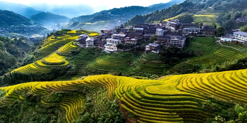 Longsheng Longji Rice Terraces