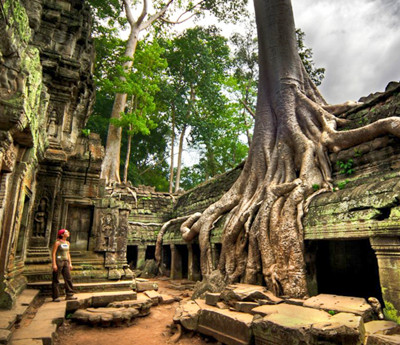 Ta Prohm Temple