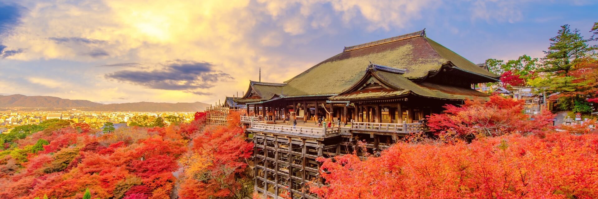 japan autumn