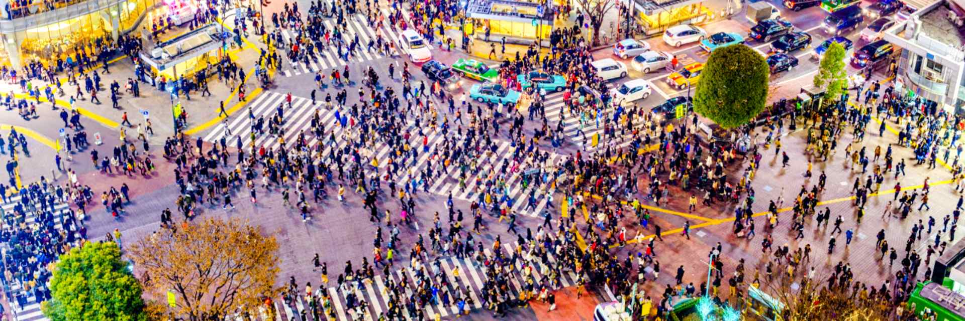 Shibuya Crossing
