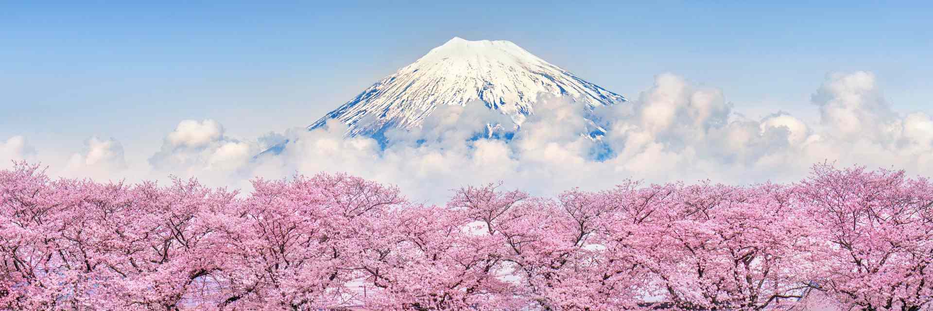 Mt Fuji