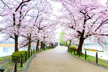 Tokyo