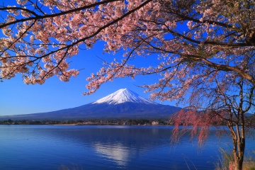 Mount Fuji