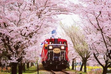 Kyoto