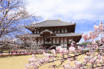 Nara