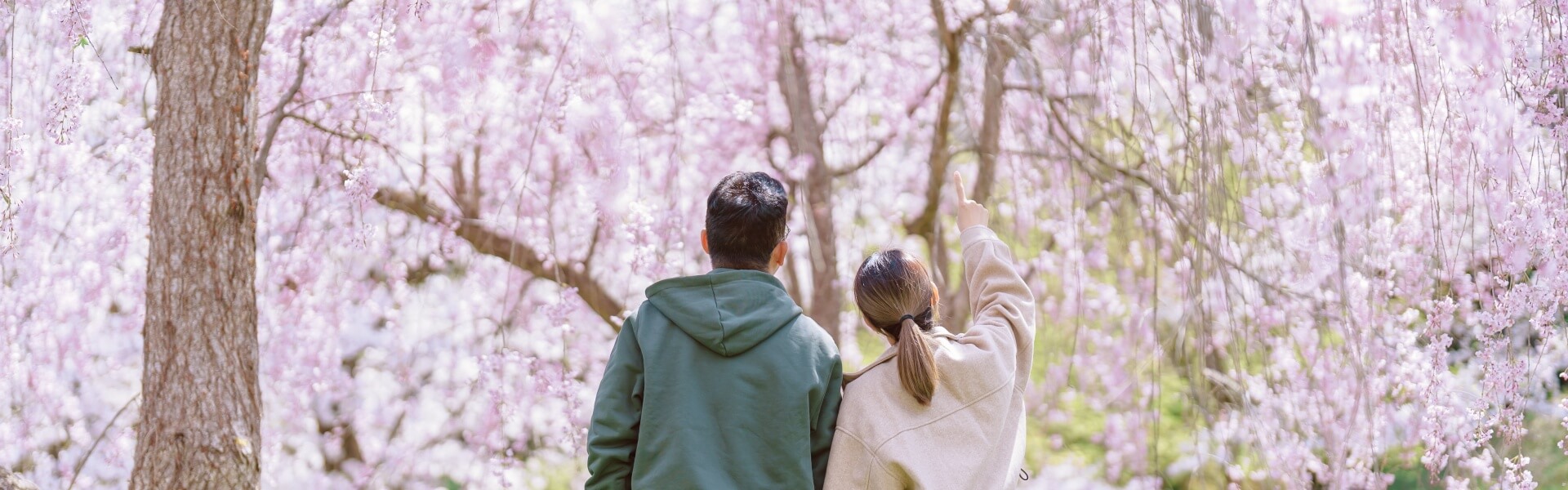 Japan Spring Family Tour