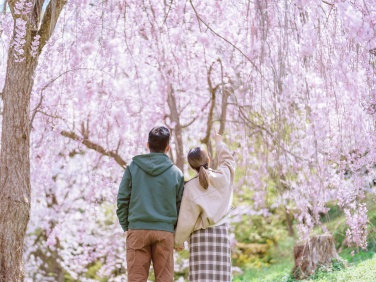 japan family tour