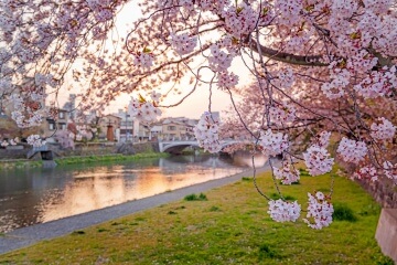Asano River