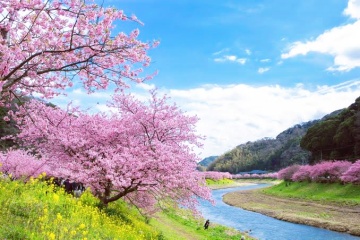 Izu River