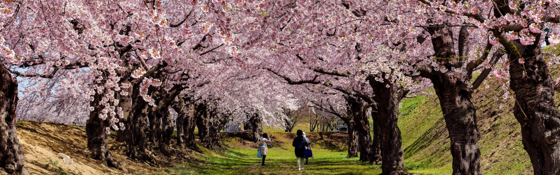 hokkaido spring tour