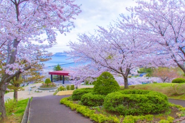 Temiya Park