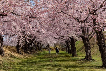 Matsumae Park